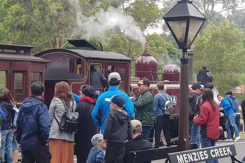 Day Tour Of Yarra Valley Puffing Billy And Rayners Orchard - Accommodation VIC 40