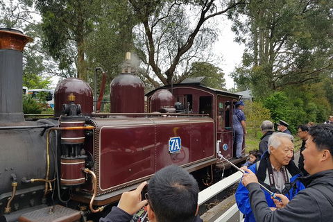 Day Tour Of Yarra Valley Puffing Billy And Rayners Orchard - Accommodation VIC 28