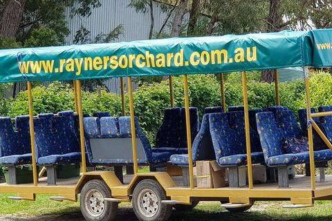 Day Tour Of Yarra Valley Puffing Billy And Rayners Orchard - Accommodation VIC 33
