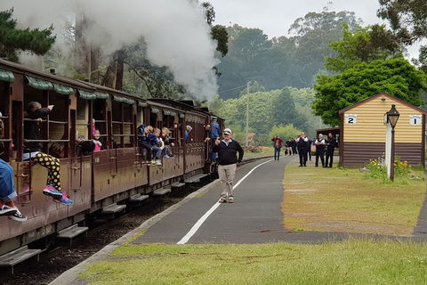 Day Tour Of Yarra Valley Puffing Billy And Rayners Orchard - Accommodation VIC 0
