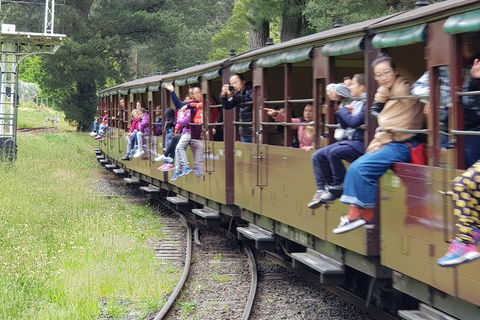 Day Tour Of Yarra Valley Puffing Billy And Rayners Orchard - Accommodation VIC 13