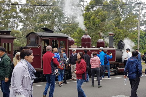 Day Tour Of Yarra Valley Puffing Billy And Rayners Orchard - Accommodation VIC 4