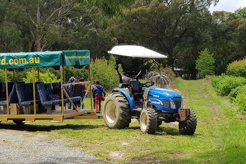 Day Tour Of Yarra Valley Puffing Billy And Rayners Orchard - Accommodation VIC 25