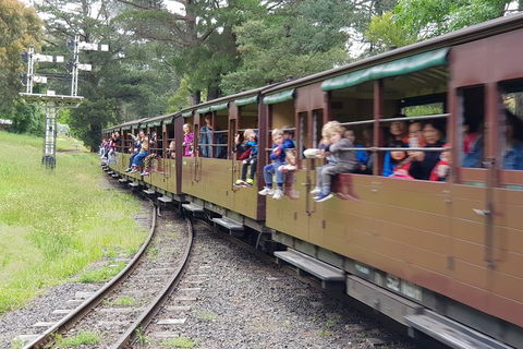 Day Tour Of Yarra Valley Puffing Billy And Rayners Orchard - Accommodation VIC 24