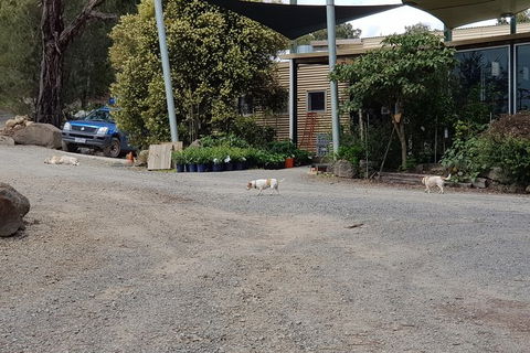Day Tour Of Yarra Valley Puffing Billy And Rayners Orchard - Accommodation VIC 26