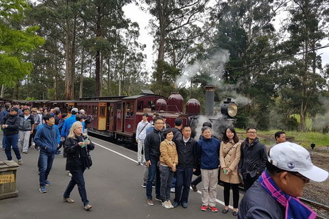 Day Tour Of Yarra Valley Puffing Billy And Rayners Orchard - Accommodation VIC 9
