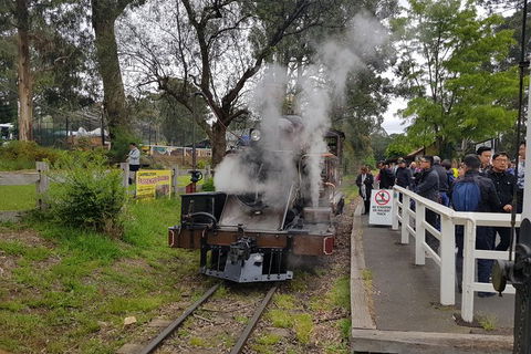Day Tour Of Yarra Valley Puffing Billy And Rayners Orchard - Accommodation VIC 43