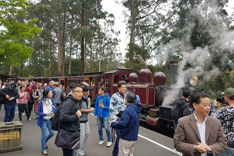 Day Tour Of Yarra Valley Puffing Billy And Rayners Orchard - Accommodation VIC 12
