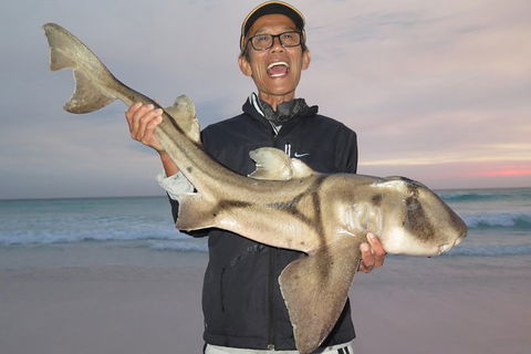 Half-Day Beach Fishing Safari - Accommodation VIC 21