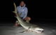 Half-Day Beach Fishing Safari - thumb 24
