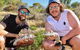 Half-Day Beach Fishing Safari - thumb 20