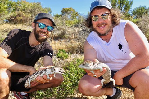 Half-Day Beach Fishing Safari - Accommodation VIC 20