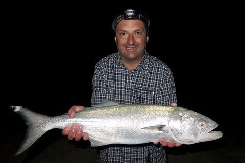 Half-Day Beach Fishing Safari - Accommodation VIC 33