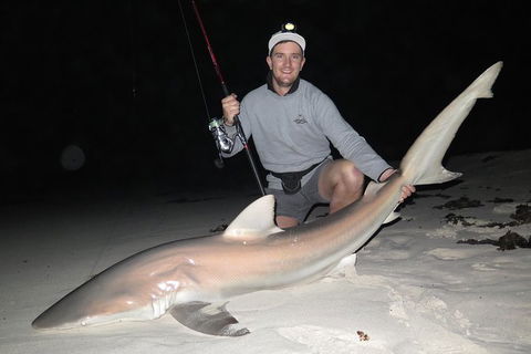 Half-Day Beach Fishing Safari - Accommodation VIC 35
