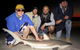 Half-Day Beach Fishing Safari - thumb 23
