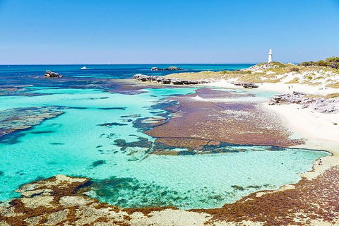 Perth To Rottnest Island Roundtrip Ferry Ticket - Accommodation VIC 4