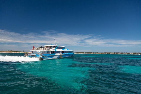 Perth To Rottnest Island Roundtrip Ferry Ticket - Accommodation VIC 1