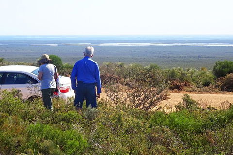 Spring Wildflower (Private) Day Tours - Accommodation VIC 36
