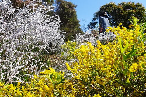 Spring Wildflower (Private) Day Tours - Accommodation VIC 15