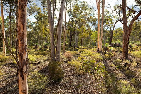 Spring Wildflower (Private) Day Tours - Accommodation VIC 10
