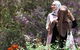 Spring Wildflower (Private) Day Tours - thumb 18