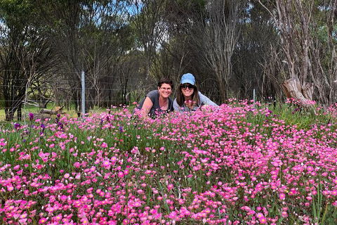 Spring Wildflower (Private) Day Tours - Accommodation VIC 24