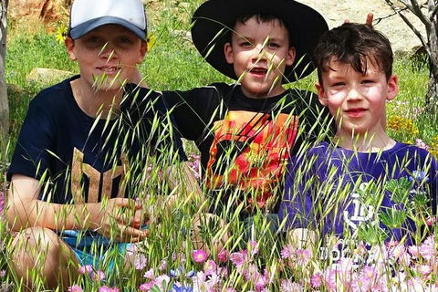 Spring Wildflower (Private) Day Tours - Accommodation VIC 30