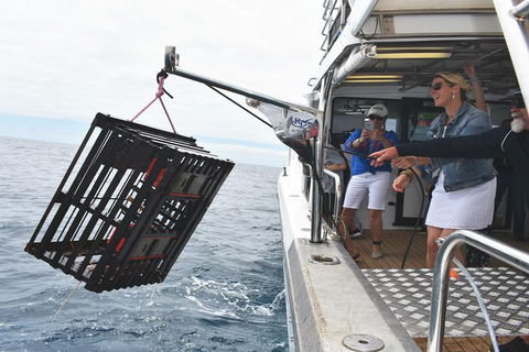 Rottnest Island Wild Seafood Package With Round Trip Ferry From Perth - Accommodation VIC 0