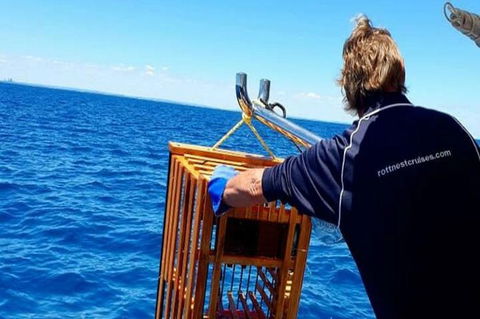 Rottnest Island Wild Seafood Package With Round Trip Ferry From Perth - Accommodation VIC 8