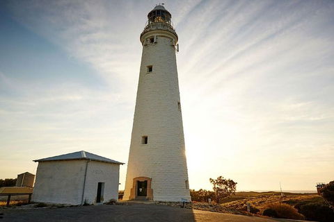 Rottnest Island Wild Seafood Package With Round Trip Ferry From Perth - Accommodation VIC 4