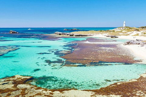 Rottnest Island Wild Seafood Package With Round Trip Ferry From Perth - Accommodation VIC 7