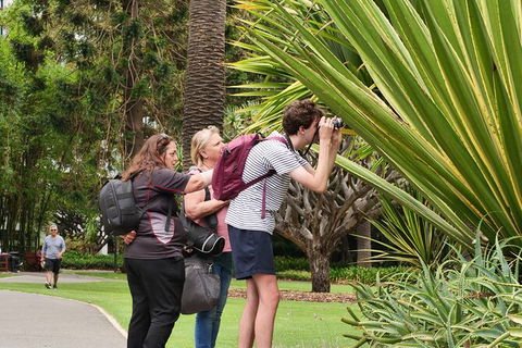 Perth City, Laneways And Hidden Gems, Photographic Walk - Accommodation VIC 3