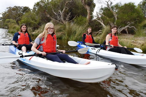 Perth Kayak Tour - Canning River Wetlands - Accommodation VIC 3