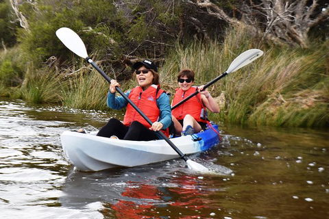 Perth Kayak Tour - Canning River Wetlands - Accommodation VIC 2