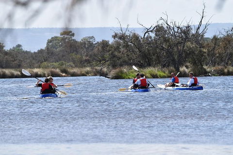 Perth Kayak Tour - Canning River Wetlands - Accommodation VIC 4