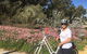 Perth Bike Tour - Beautiful Matilda Bay And Kings Park - thumb 5