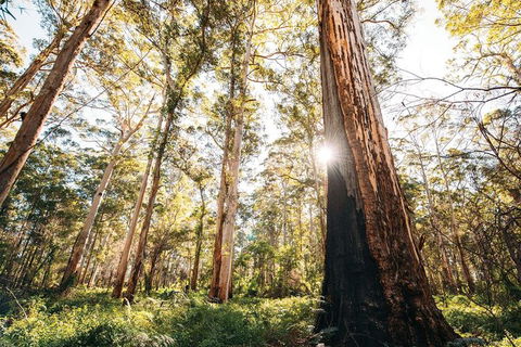 Margaret River 3 Day Escape - Accommodation VIC 2