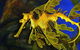 Dive With Sharks At AQWA - thumb 16