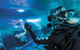 Dive With Sharks At AQWA - thumb 6
