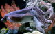 Dive With Sharks At AQWA - thumb 17