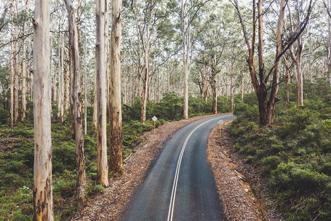 All Inclusive Surf Camp In Margaret River Region - Accommodation VIC 2