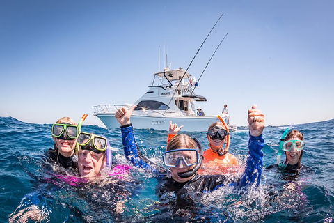 Life On Ningaloo Swimming Tour In Exmouth - Accommodation VIC 4