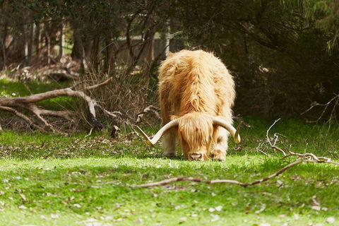 Organic Vineyard/Farm Tour - Accommodation VIC 2