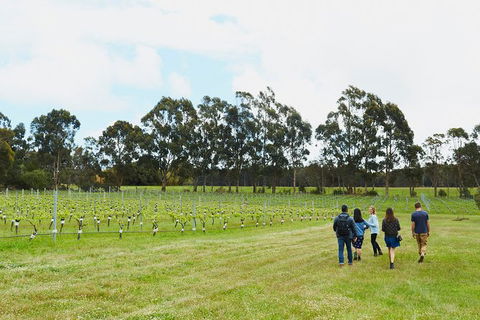 Organic Vineyard/Farm Tour - Accommodation VIC 7