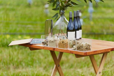 Organic Vineyard/Farm Tour - Accommodation VIC 3