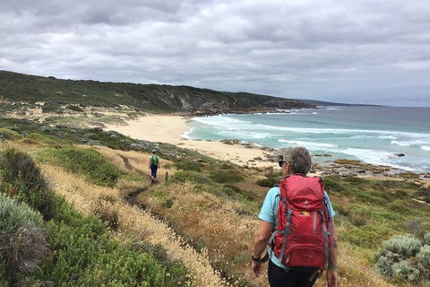 Guided Walks On The Cape To Cape - Moses Rock To Ellenbrook - Accommodation VIC 4