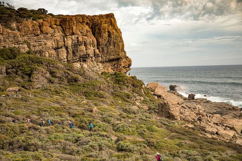 Guided Walks On The Cape To Cape - Moses Rock To Ellenbrook - Accommodation VIC 5