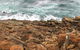 Guided Walks On The Cape To Cape - Moses Rock To Ellenbrook - thumb 1