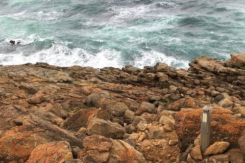 Guided Walks On The Cape To Cape - Moses Rock To Ellenbrook - Accommodation VIC 1