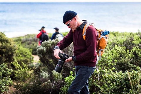 Guided Walks On The Cape To Cape - Moses Rock To Ellenbrook - Accommodation VIC 3
